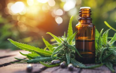 Le CBD : une révolution pour la santé et le bien-être ?