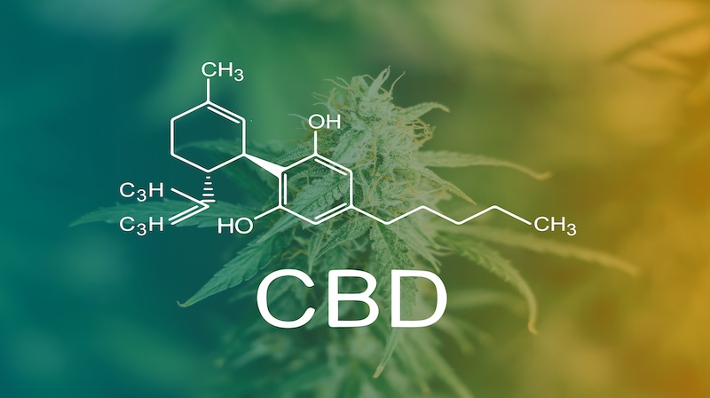 Effets secondaires et contre-indications du CBD